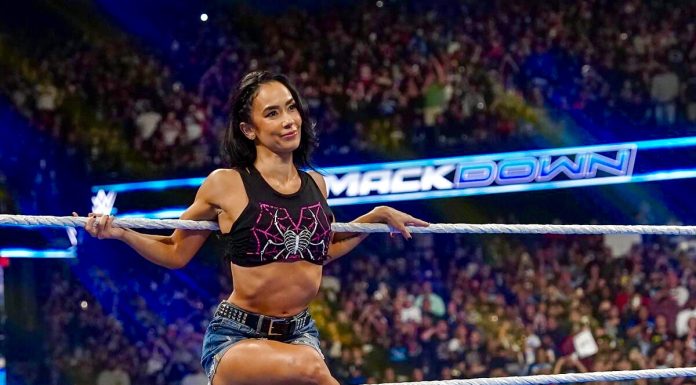 Report {Free & Unlocked}: The Return Of AJ Lee To The WWE Universe, Backstage Details And More
